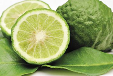 Bergamot Oil