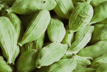 Cardamom Oil