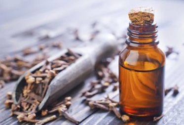 Clove Oil