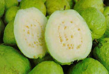 Guava Pieces