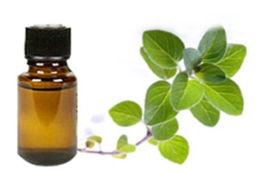 Oregano Oil