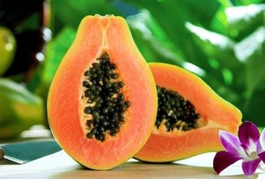 Papaya Powder