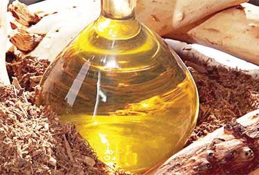 Sandalwood Oil